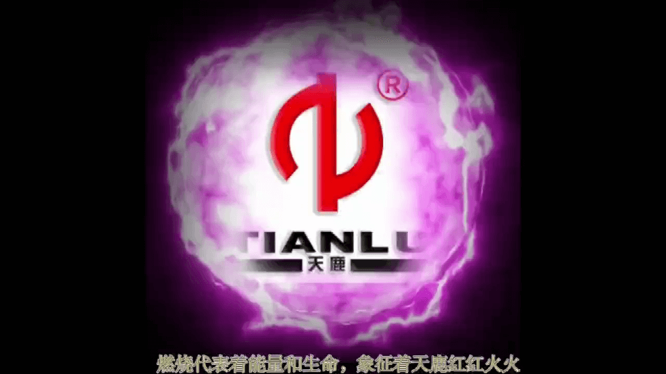 公司視頻